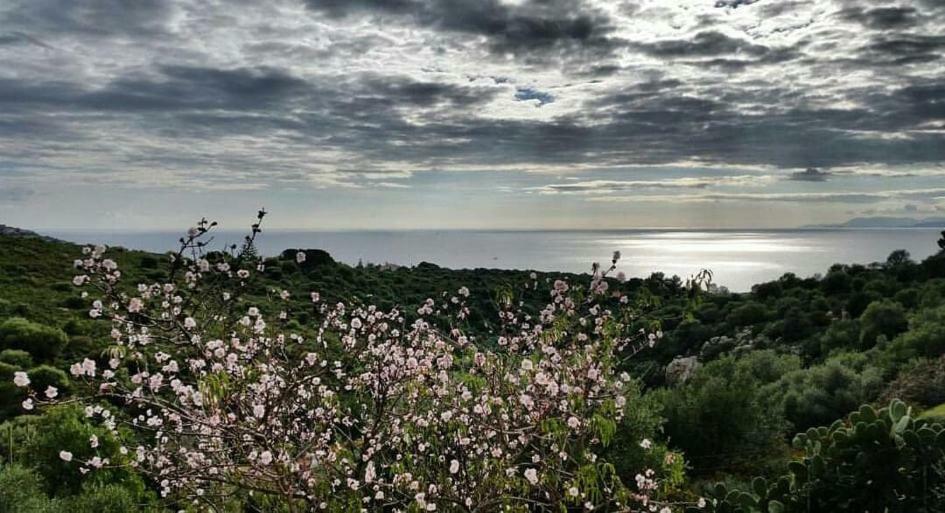 Salmagilandia Ξενοδοχείο Terra Mala Εξωτερικό φωτογραφία